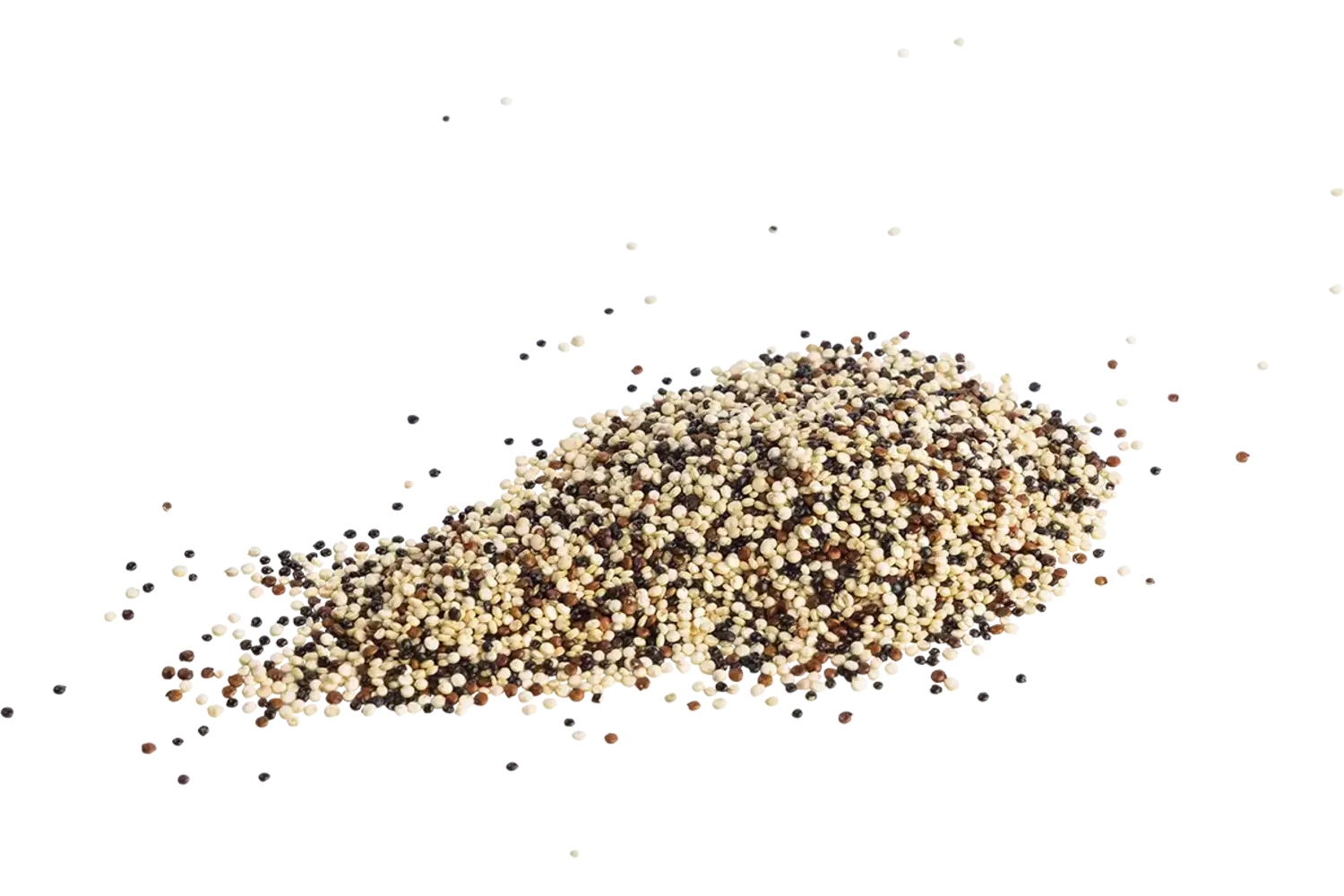 Quinoa tricolor 500gr stuk 1